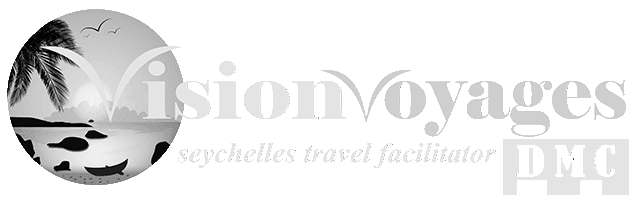 Vision Voyages DMC